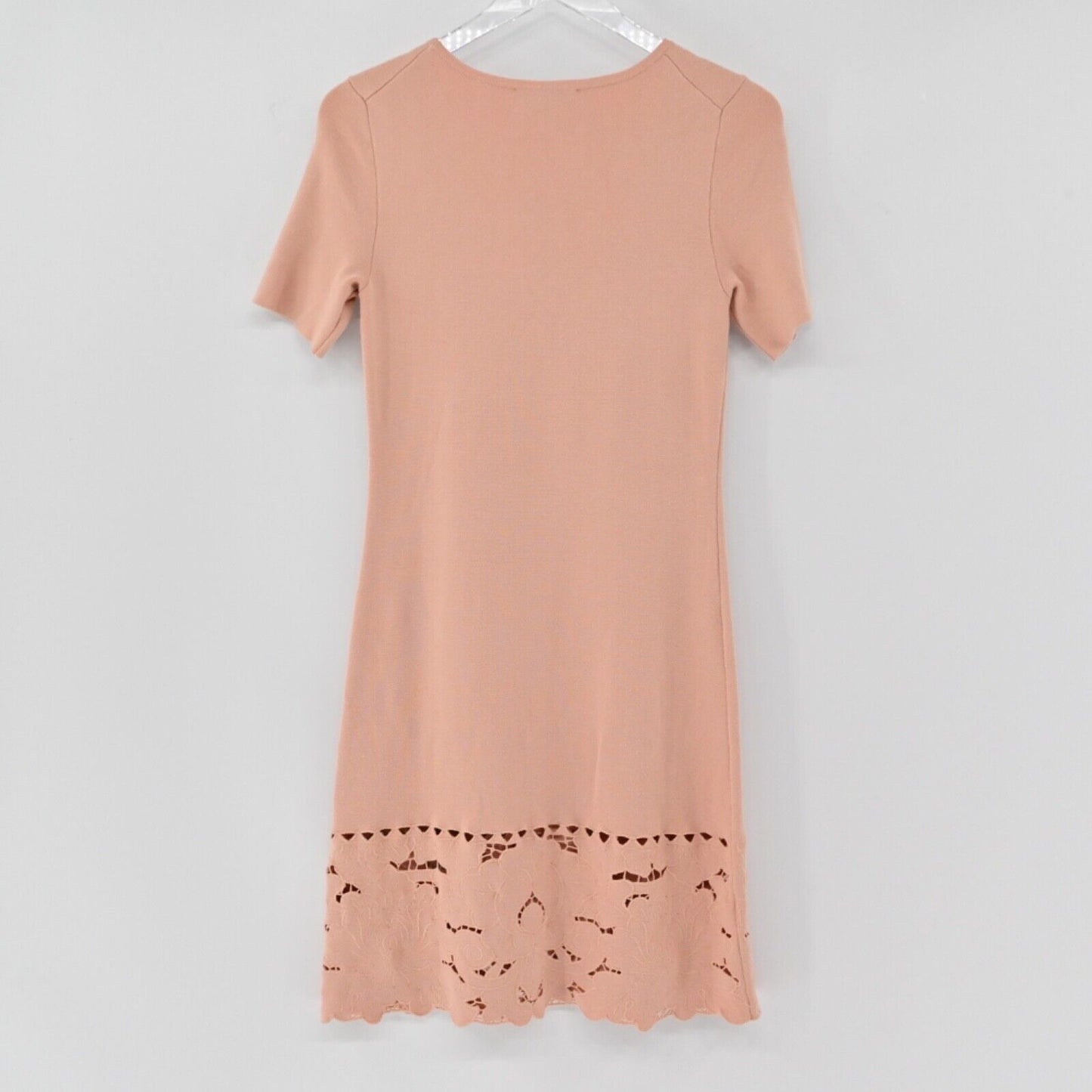 ANN TAYLOR Dress Womens Sz S Pink Knit Floral Embroidered Eyelet Sheath Capsule
