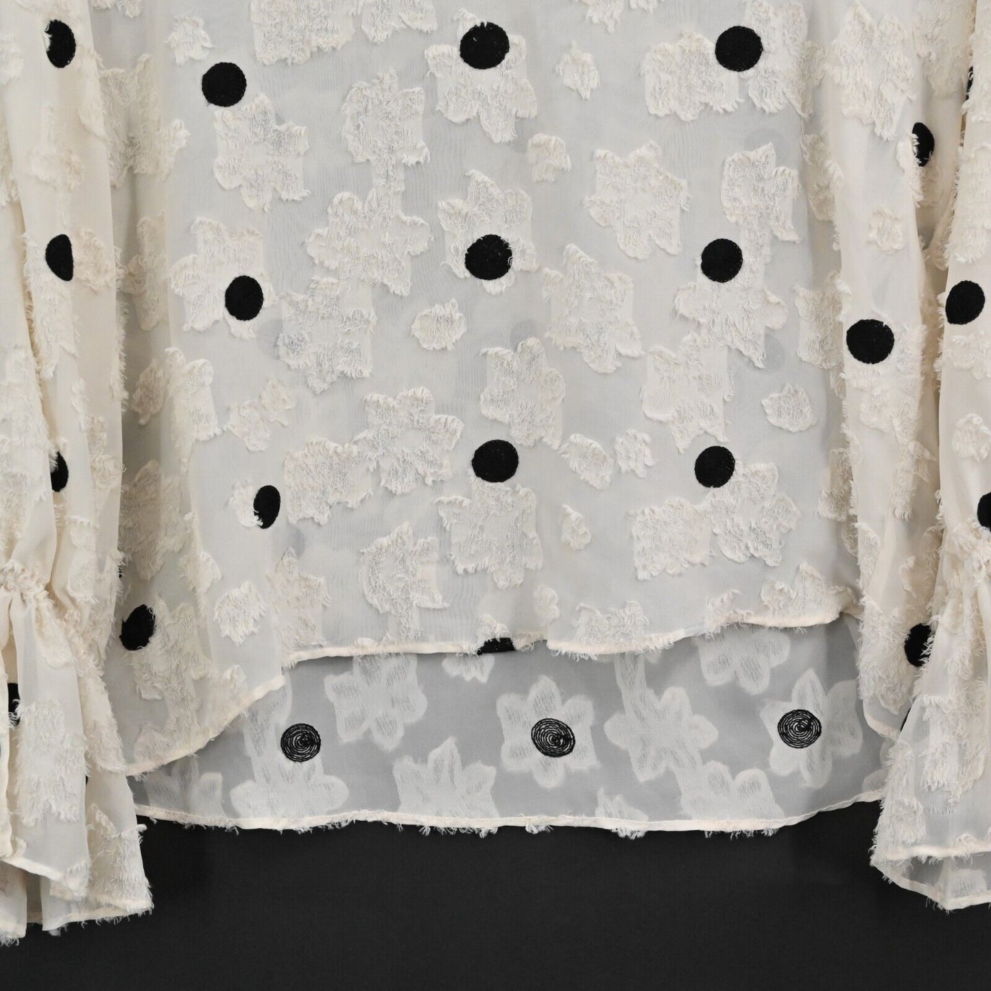 ZARA Top Womens Size S VNeck Polka Dot Textured Floral Poet Long Sleeve Sheer