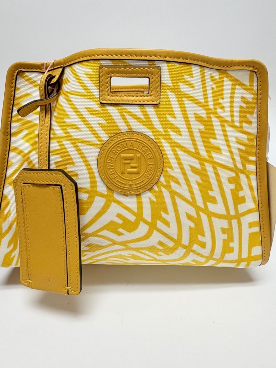 Fendi Peekaboo Bag Cover / Defender FF Vertigo
