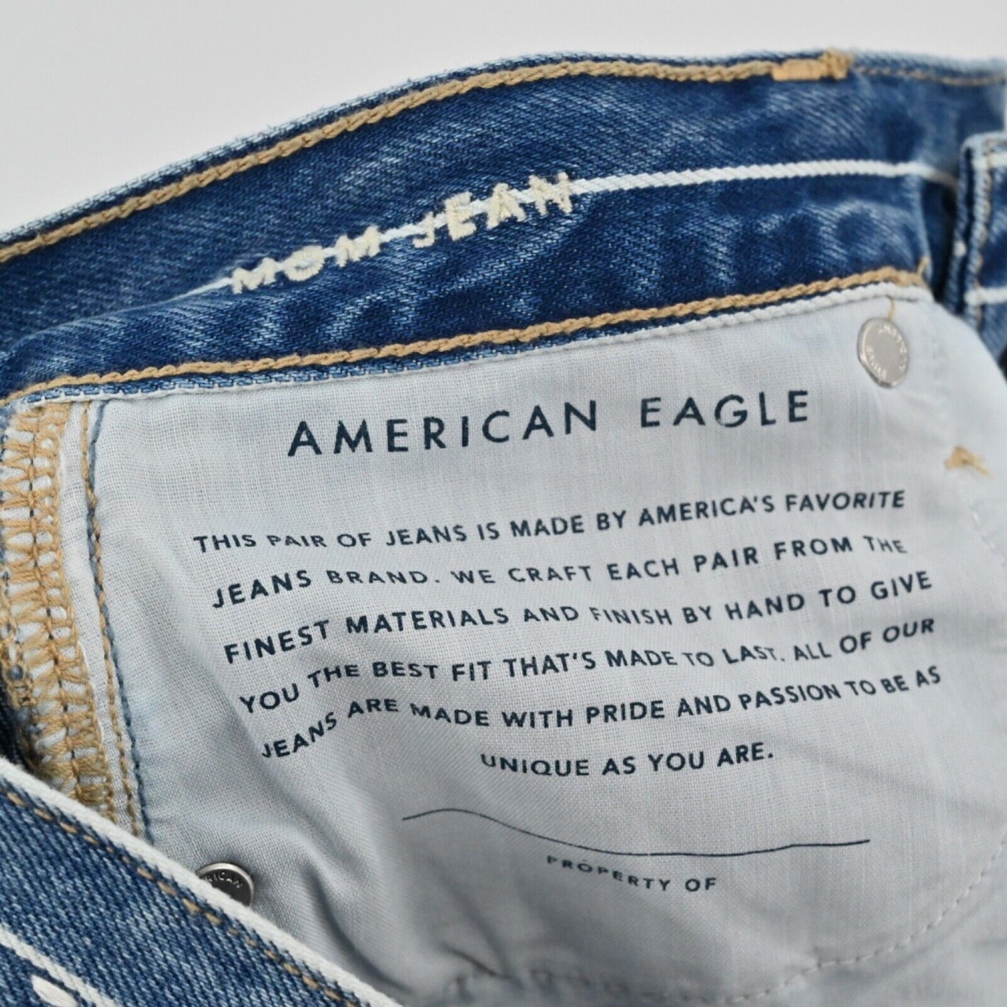 AMERICAN EAGLE Jeans Womens Sz 4 Medium Wash White Pinstripe High Rise Mom NEW