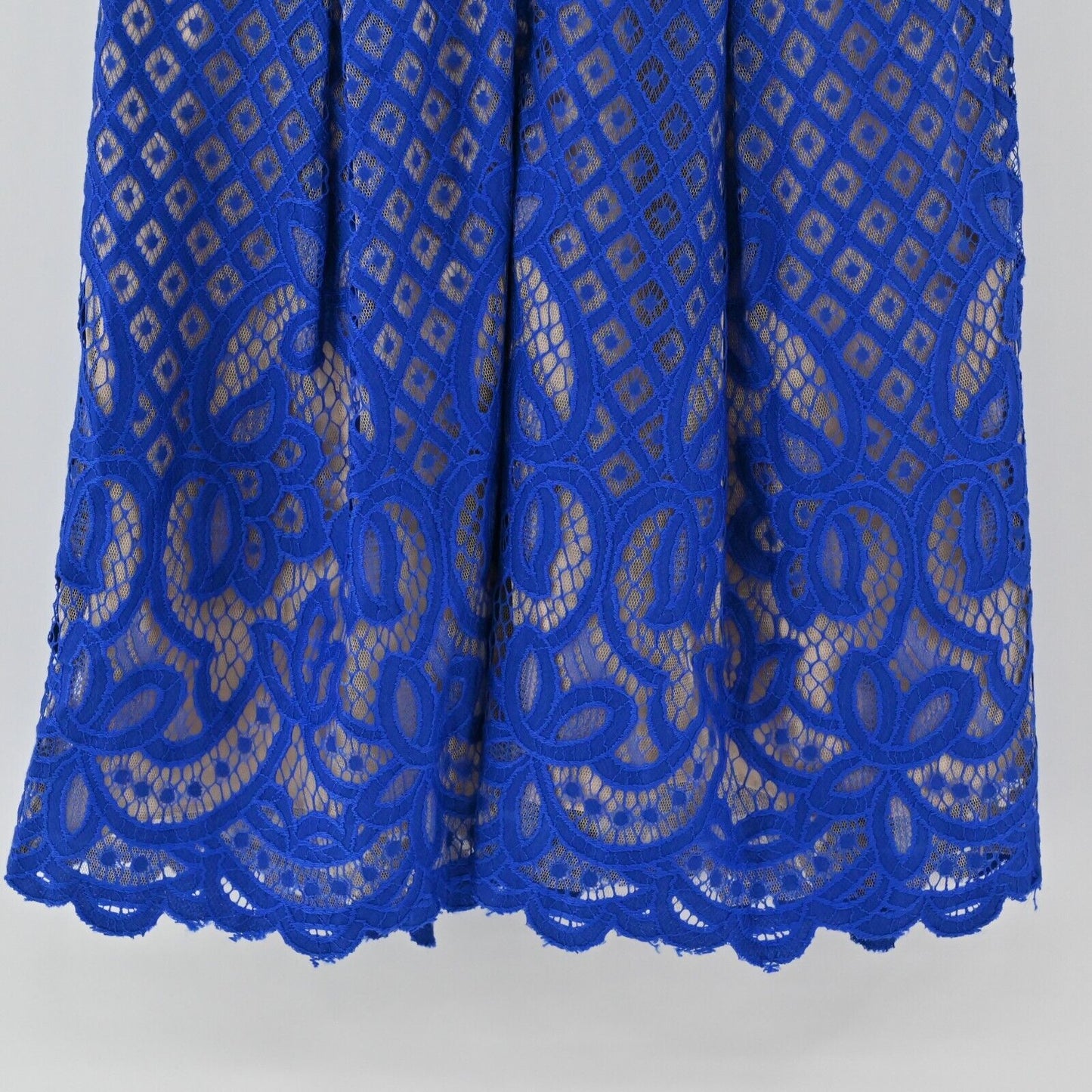 ADRIANNA PAPELL Dress Womens Sz 4 Blue Floral Lace Cocktail Mini Fit Flare Pleat