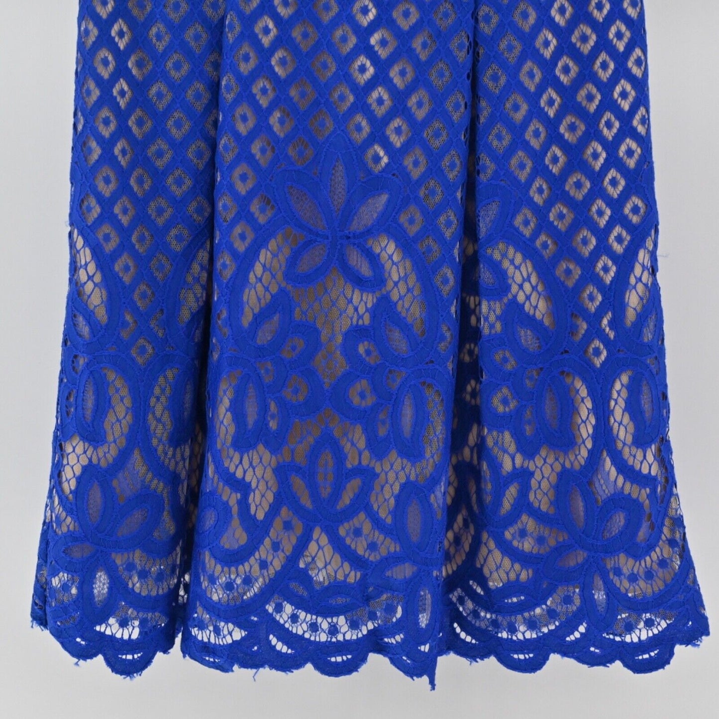 ADRIANNA PAPELL Dress Womens Sz 4 Blue Floral Lace Cocktail Mini Fit Flare Pleat