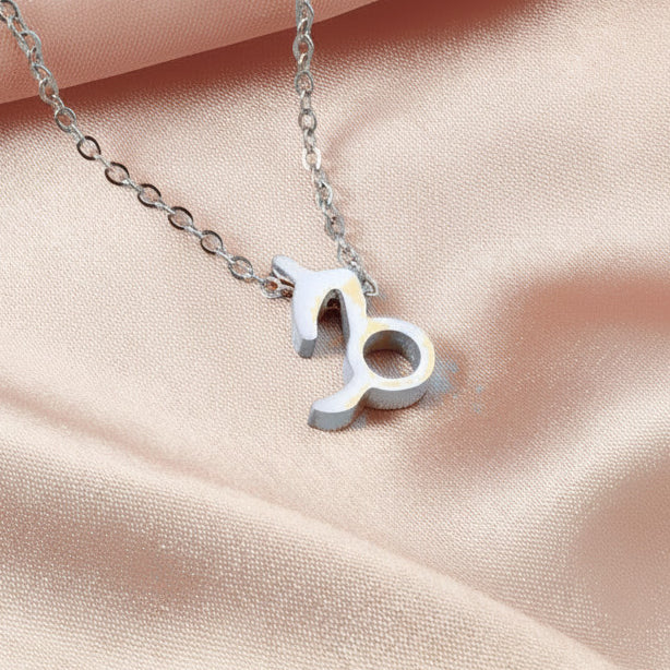 Zodiac Sign Pendant Necklace Silver Tone 304 Stainless Steel Dainty Clavicle Chain