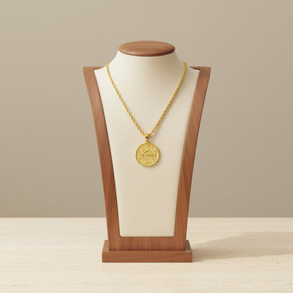 Zodiac Coin Pendant Necklace 18K Gold Plated Stainless Steel Rope Chain Constellation