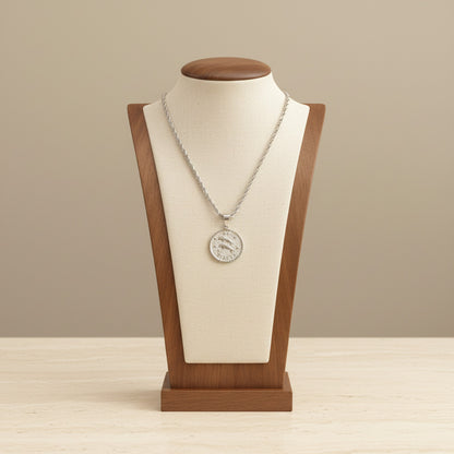 Zodiac Coin Pendant Necklace Silver Tone Stainless Steel Rope Chain Constellation