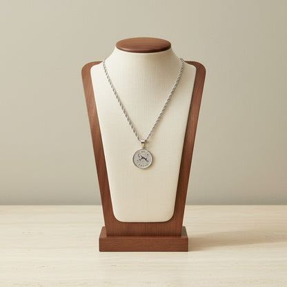 Zodiac Coin Pendant Necklace Silver Tone Stainless Steel Rope Chain Constellation