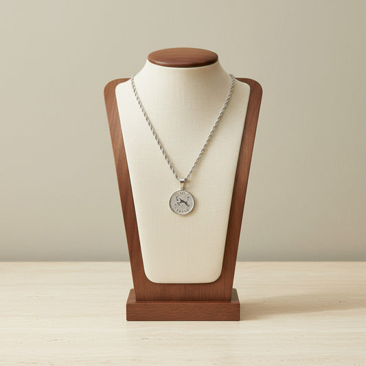 Zodiac Coin Pendant Necklace Silver Tone Stainless Steel Rope Chain Constellation