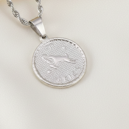Zodiac Coin Pendant Necklace Silver Tone Stainless Steel Rope Chain Constellation