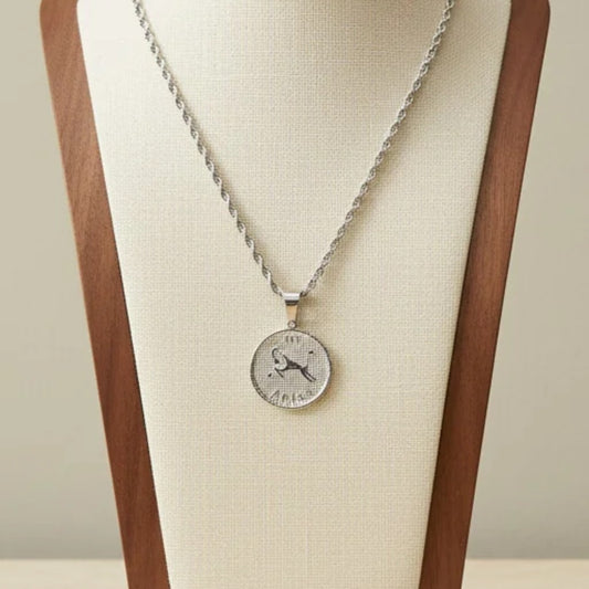 Zodiac Coin Pendant Necklace Silver Tone Stainless Steel Rope Chain Constellation