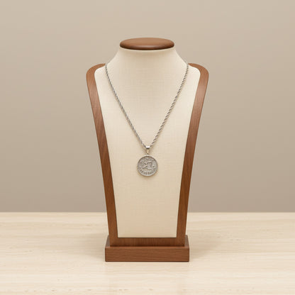 Zodiac Coin Pendant Necklace Silver Tone Stainless Steel Rope Chain Constellation