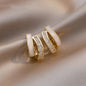 Lynn's Closet Boutique Exquisite Grand Earrings