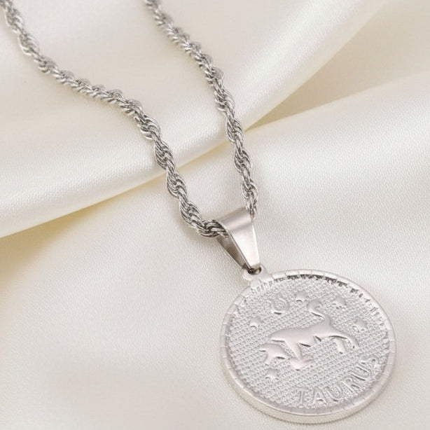 Zodiac Coin Pendant Necklace Silver Tone Stainless Steel Rope Chain Constellation