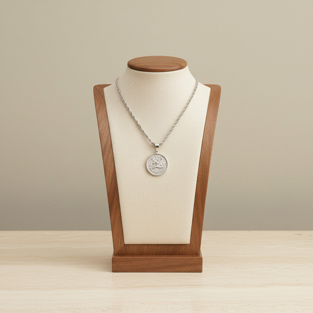 Zodiac Coin Pendant Necklace Silver Tone Stainless Steel Rope Chain Constellation