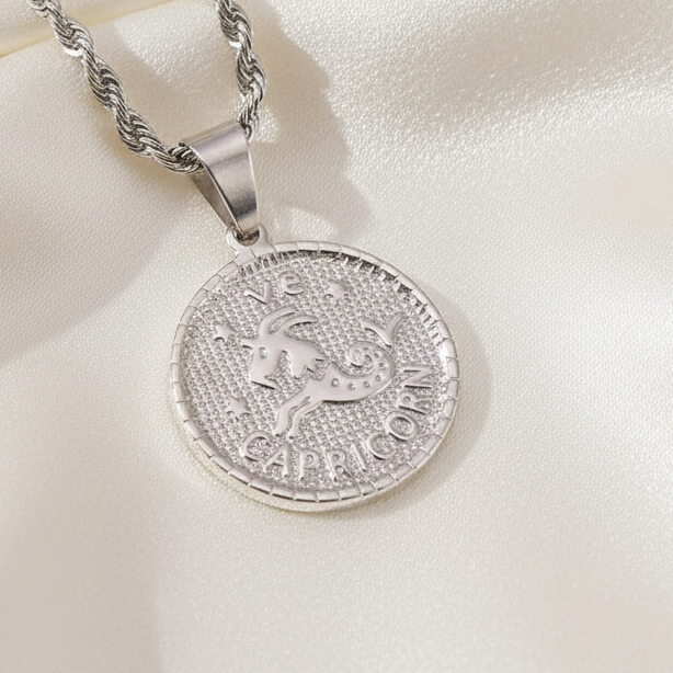 Zodiac Coin Pendant Necklace Silver Tone Stainless Steel Rope Chain Constellation