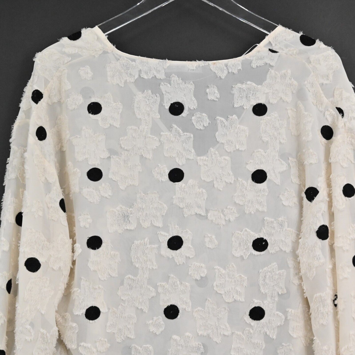 ZARA Top Womens Size S VNeck Polka Dot Textured Floral Poet Long Sleeve Sheer