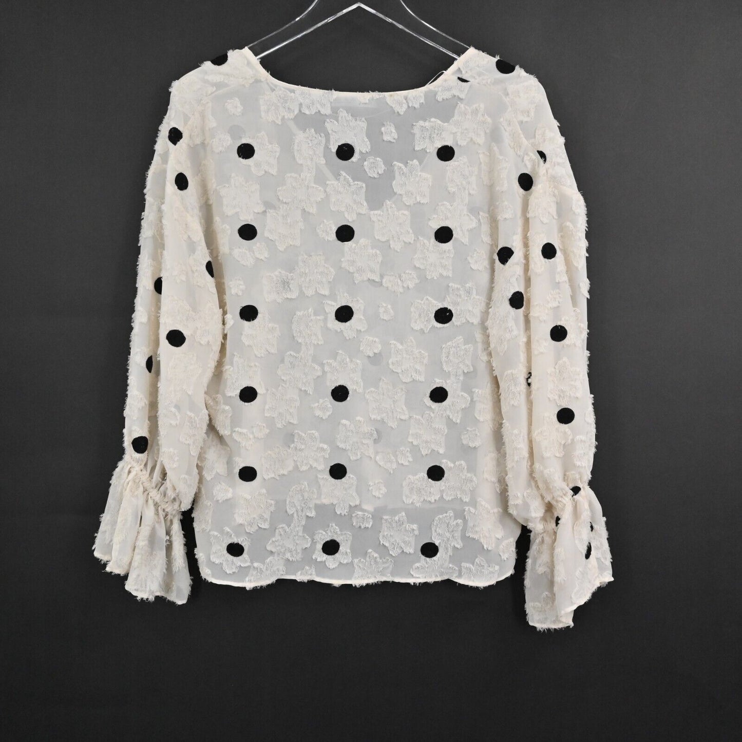 ZARA Top Womens Size S VNeck Polka Dot Textured Floral Poet Long Sleeve Sheer