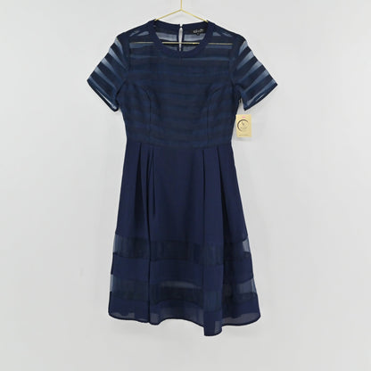 Lynn's Closet Boutique navy Elliatt dress with semi-sheer horizontal striped panels and a pleated skirt.
