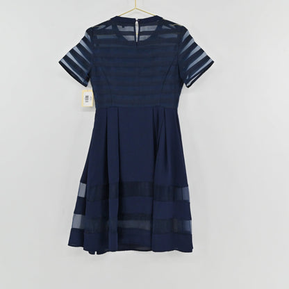 Lynn's Closet Boutique navy Elliatt dress with short sleeves, pleated skirt, and semi-sheer horizontal striped panels.