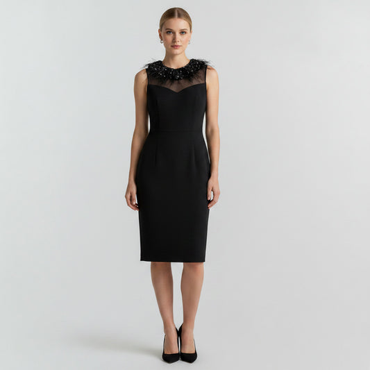 Lynn's Closet Boutique black sleeveless sheath dress with sheer neckline and beaded fringe detail, size 8.